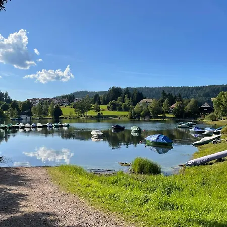 Apartament App- 2411 - Kurhotel - Sse610 By Interhome Schluchsee